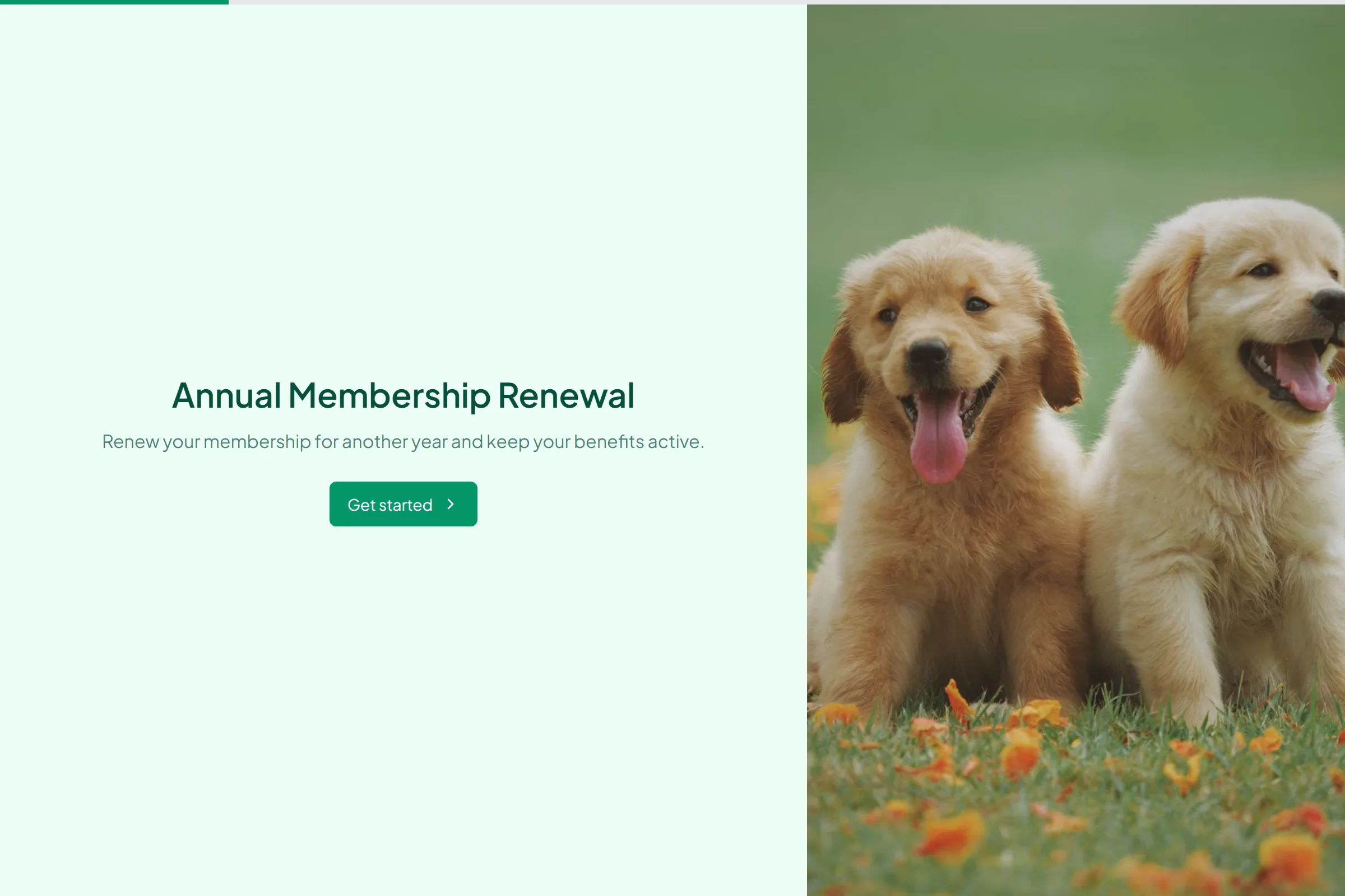 Annual Membership Renewal preview