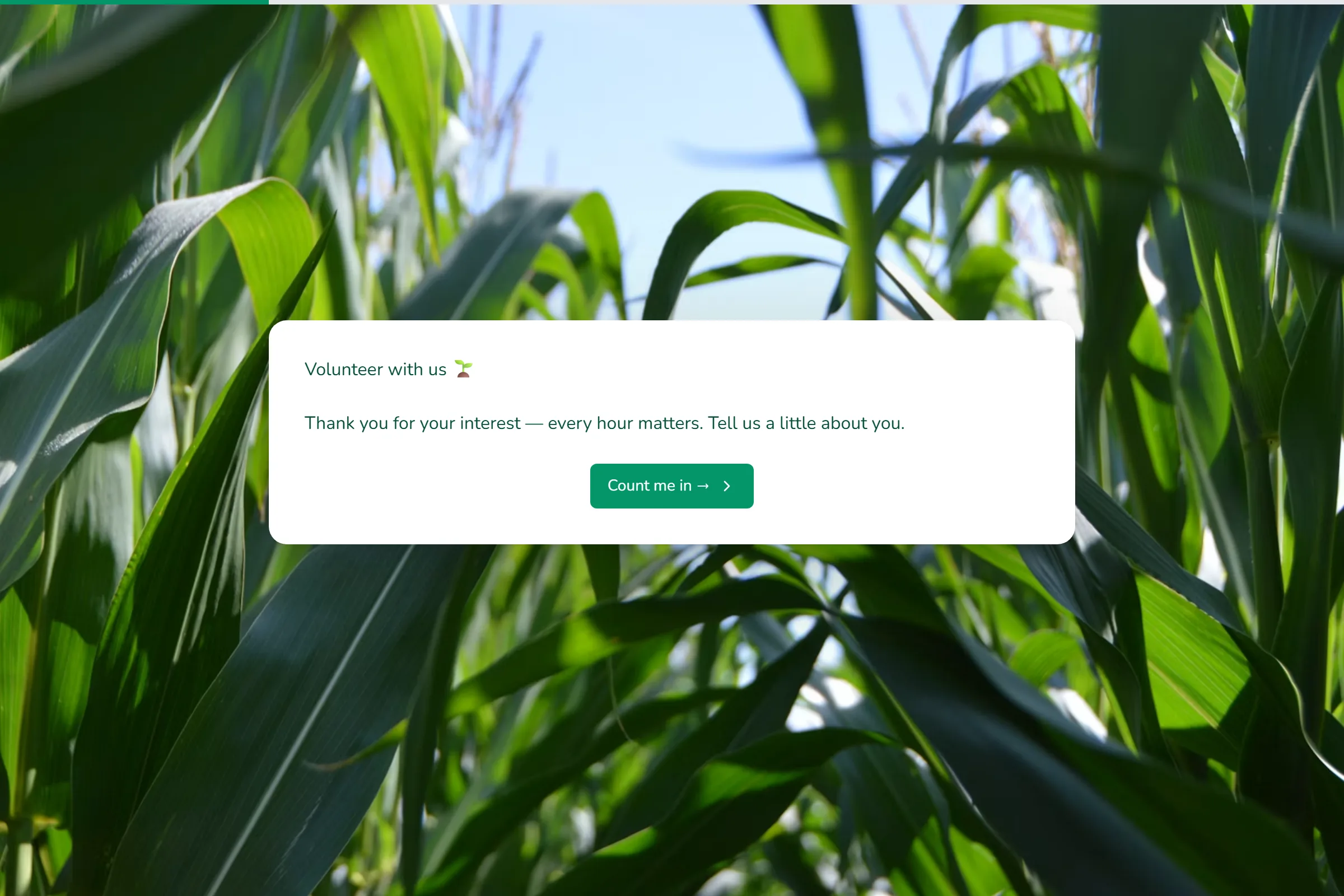 Volunteer Signup preview